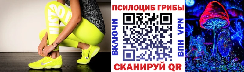 Псилоцибиновые грибы Psilocybe нарко площадка формула Приволжский